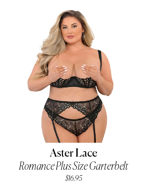 Aster Lace Romance Plus Size Garterbelt $16.95