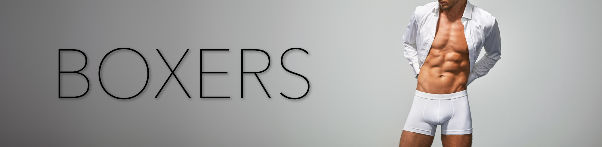 Boxers Header image 