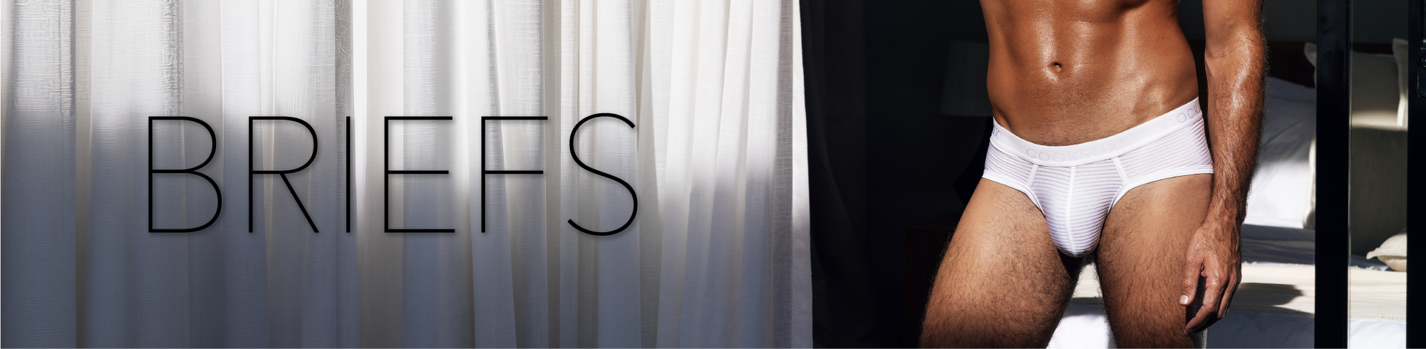 Briefs Header image 
