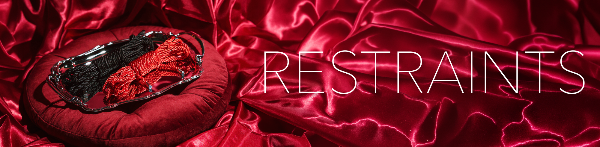 Restraints Header image 