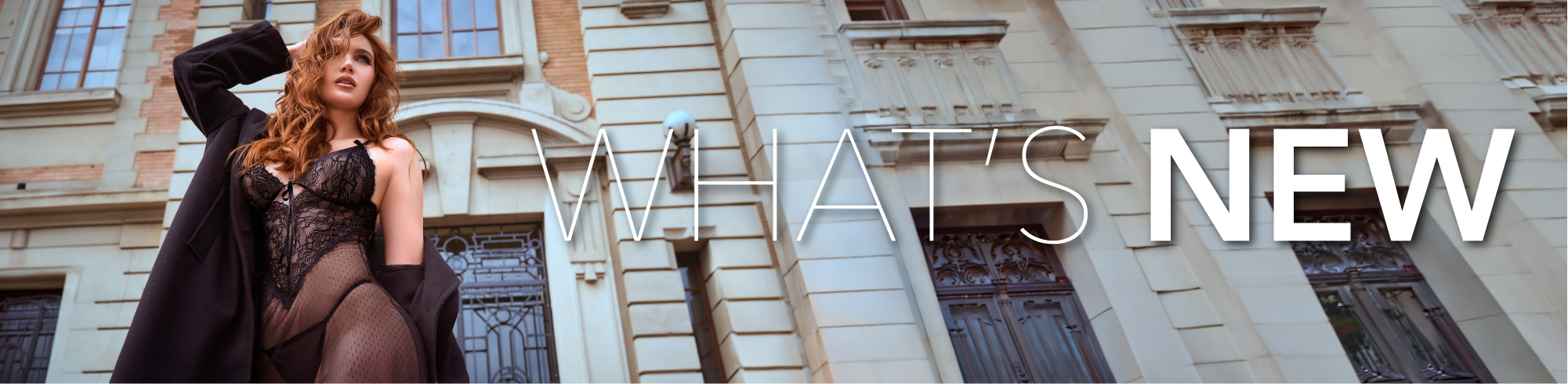 All New Header image 