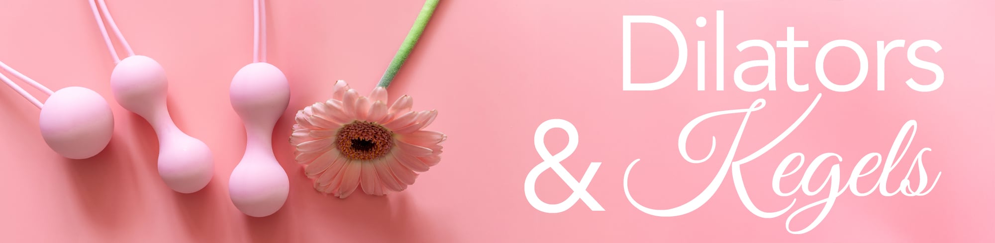 Dilators & Kegel Header image 