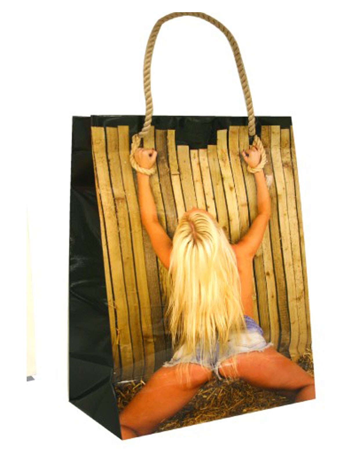alternate image for Girl On The Fence Gift Bag