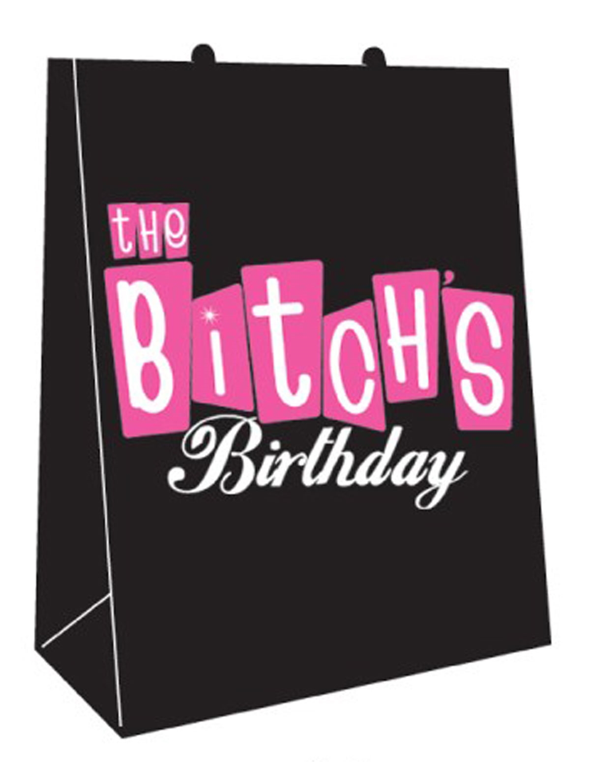 alternate image for The Bitchs Birthday Gift Bag