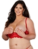 Additional RED view of product CHOPPER LACE SHELF BRA with color code RD