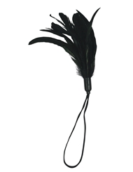 Additional  view of product PLEASURE FEATHER BLACK with color code BK