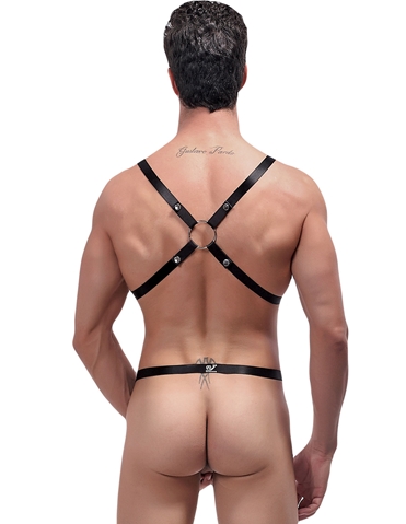 Mens Rip Off Harness With Ring ALT view 