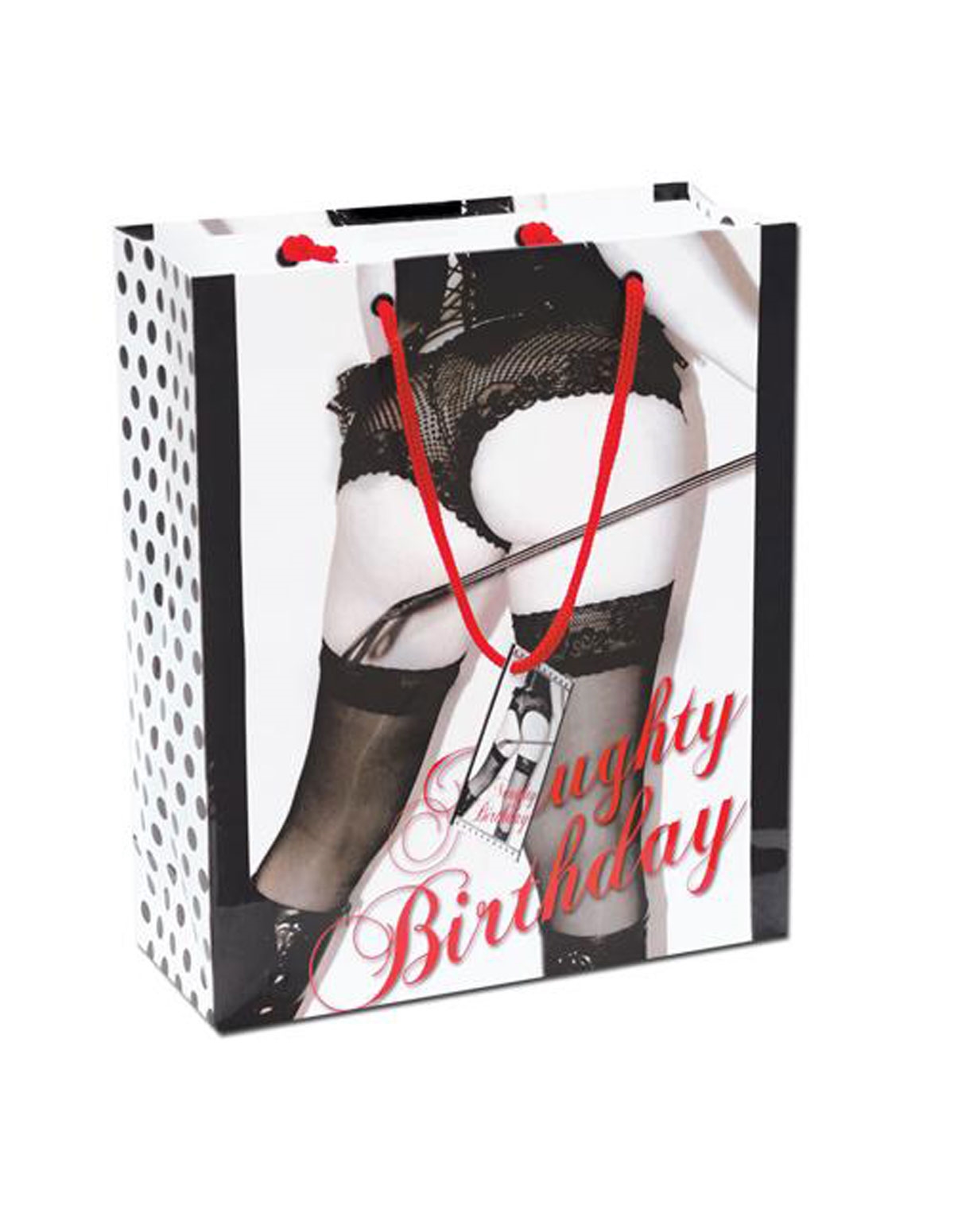 alternate image for Naughty Birthday Gift Bag