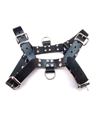 Front view of ROUGE O.T.H. FRONT HARNESS