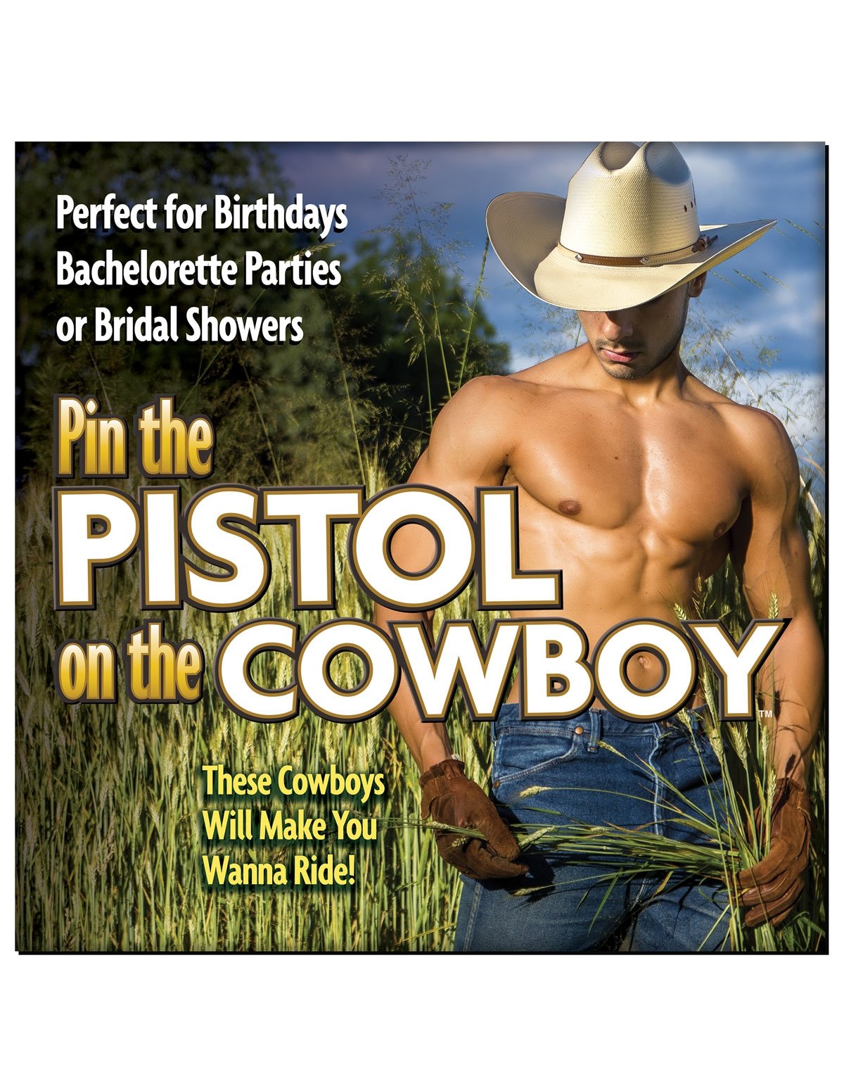 alternate image for Pin The Pistol On The Cowboy