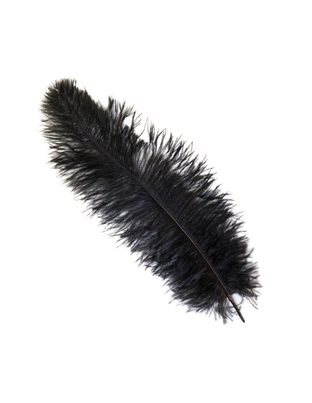 alternate image for Ostrich Feather Tickler