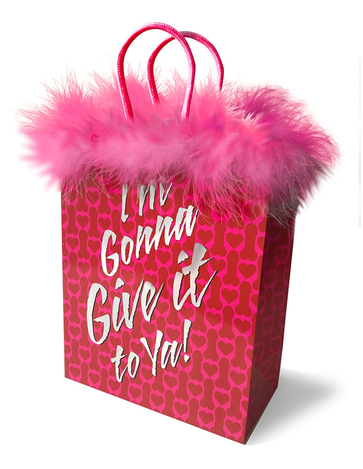 alternate image for Im Gonna Give It To You Gift Bag