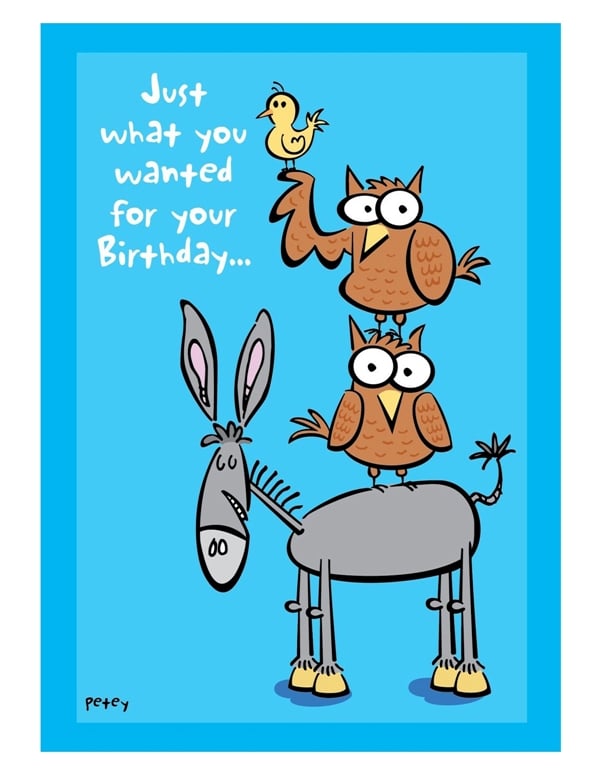 Just What You Wanted Birthday Card default view Color: NC