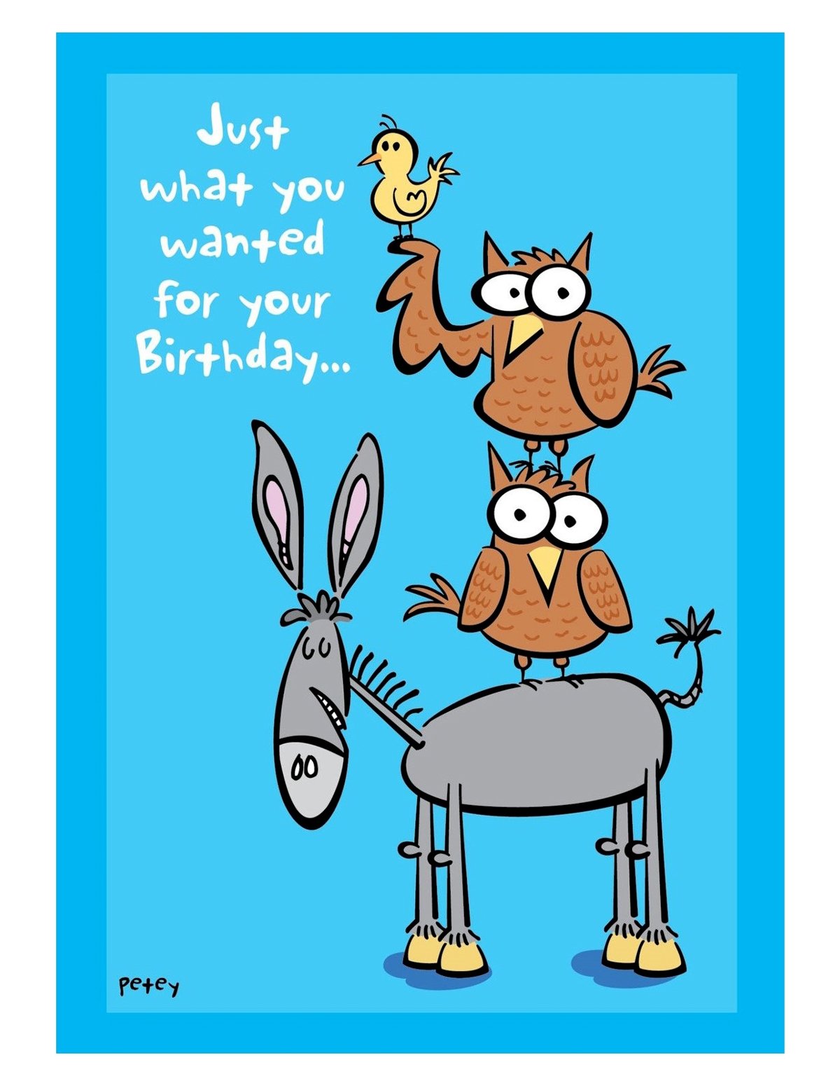 alternate image for Just What You Wanted Birthday Card