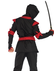 Alternate back view of 5 PC. NINJA