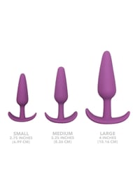 Additional  view of product FUN IN THE BUN - 3 PIECE ANAL PLUG SET with color code PR