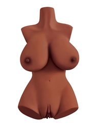 Front view of PDX PLUS PERFECT 10 BROWN TORSO