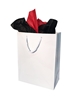 Additional WHITE view of product CUB MEDIUM GIFT BAG with color code WH