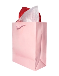 Additional  view of product CUB MEDIUM GIFT BAG with color code PK