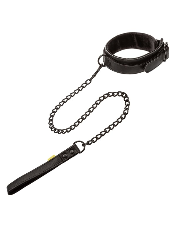 Boundless Collar And Leash ALT1 view Color: BK