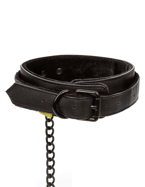 Boundless Collar And Leash ALT2 view Color: BK