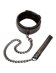 Front view of BOUNDLESS COLLAR AND LEASH