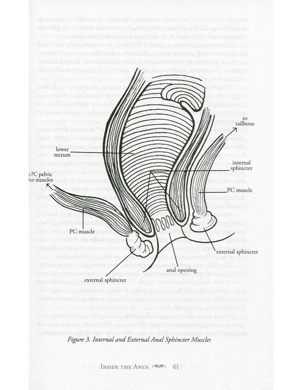 ANAL PLEASURE AND HEALTH 4TH ED BOOK ALT4 view Color: NC