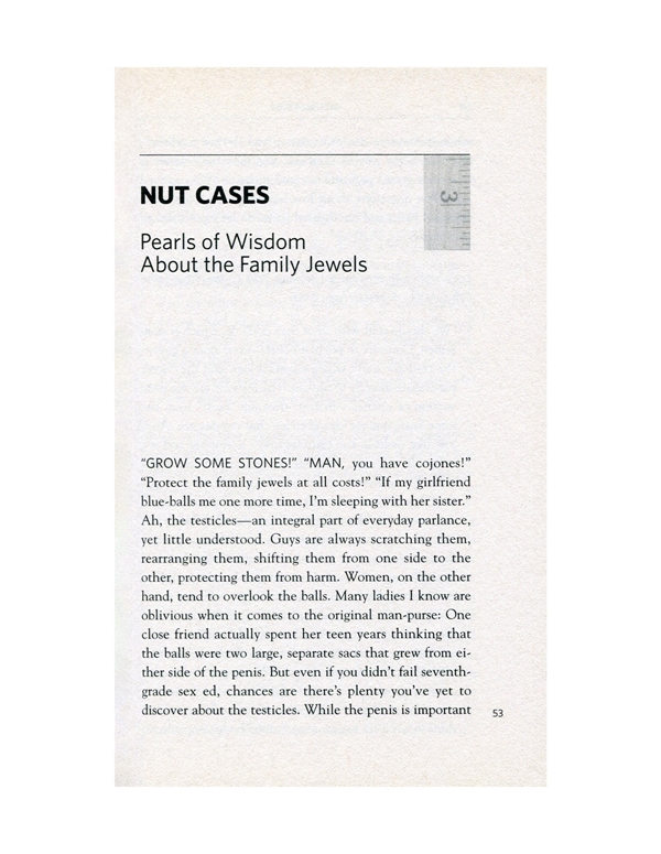 SIZE MATTERS BOOK ALT4 view Color: NC