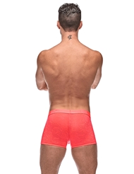 Alternate back view of IMPRESSIONS BRIEF