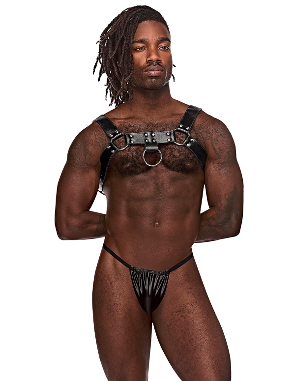 Aries Leather Harness default view Color: BK