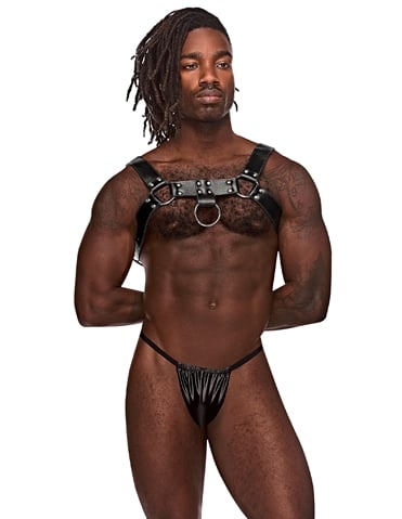 ARIES LEATHER HARNESS - 590-266-05002
