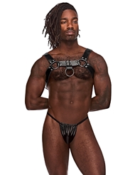 Front view of ARIES LEATHER HARNESS