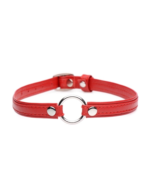 Fiery Pet Leather Choker With Silver Ring ALT1 view Color: RD