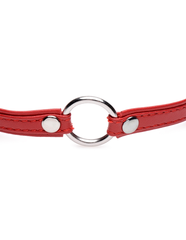 Fiery Pet Leather Choker With Silver Ring ALT3 view Color: RD