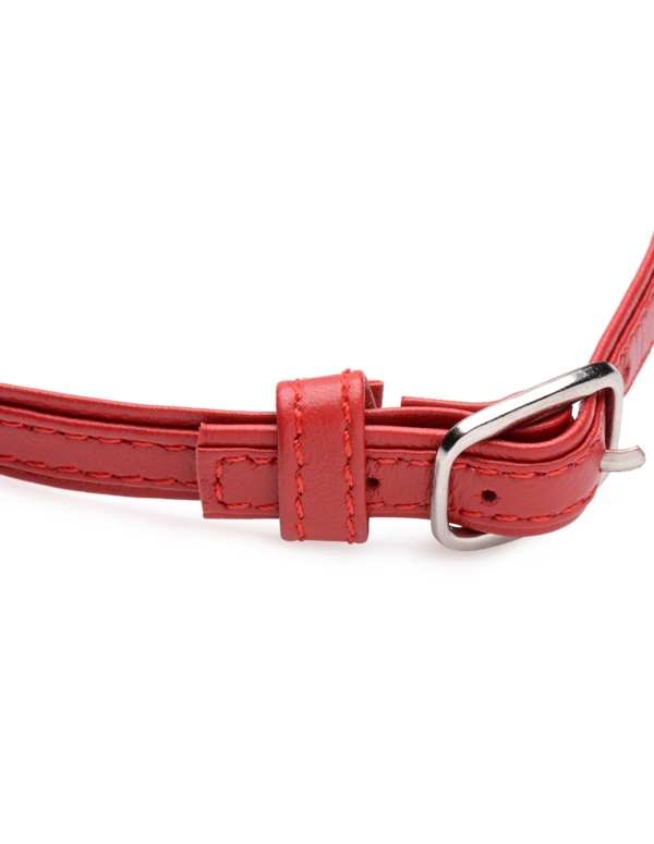 Fiery Pet Leather Choker With Silver Ring ALT4 view Color: RD