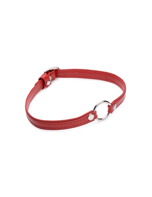 Fiery Pet Leather Choker With Silver Ring ALT5 view Color: RD