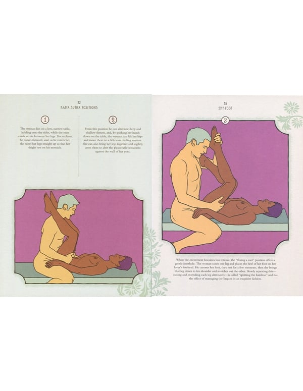 Press Here: Kama Sutra For Beginners Book ALT5 view Color: NC