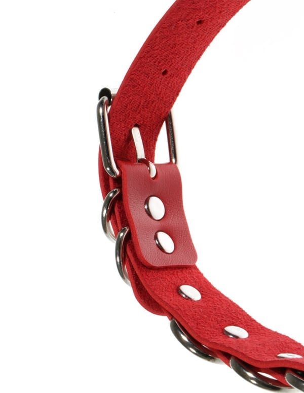 Adjustable Red Collar With D-Rings ALT1 view Color: RD