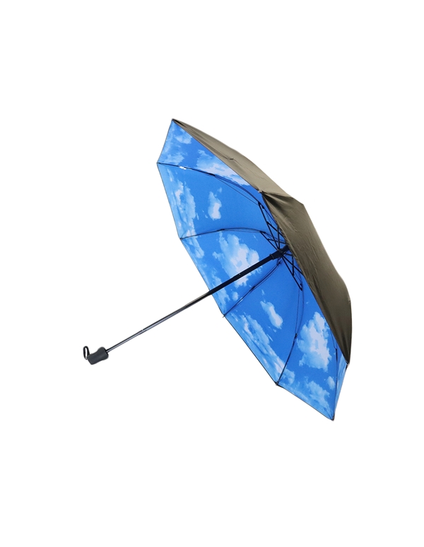 Black Sky Compact Folding Umbrella ALT view Color: BB