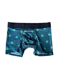 Front view of MANBUNS 420 BOXER TRUNK