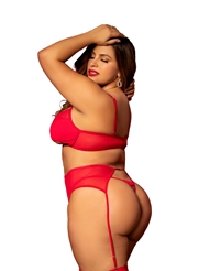 Alternate back view of SWEETHEART 3PC PLUS SIZE BRA AND GARTER SET