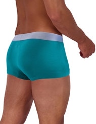 Alternate back view of LOVERBOY TRUNK - TEAL
