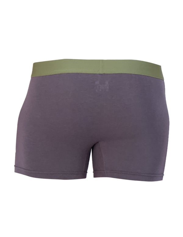 Wood Boxer Brief W/ Fly - Iron ALT1 view Color: GY
