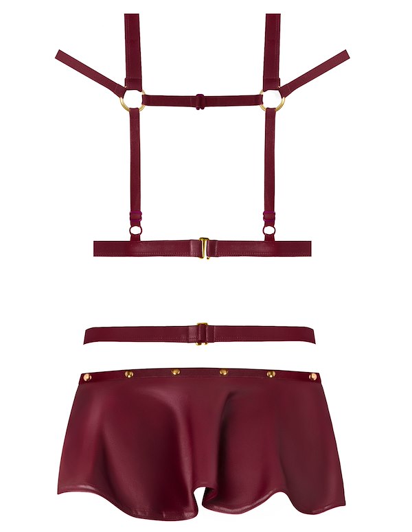 LUST - IRIS CAGE MINI DRESS WITH OPEN G-STRING ALT4 view Color: BG