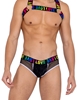 Additional BLACK/RAINBOW view of product LOVE FISHNET PANEL BRIEF with color code BRB