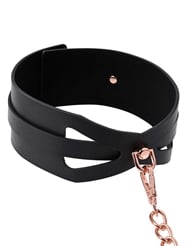 Additional  view of product S&M COLLAR AND LEASH with color code BKG