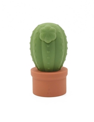 Alternate back view of DON'T BE A PRICK CACTUS VIBE