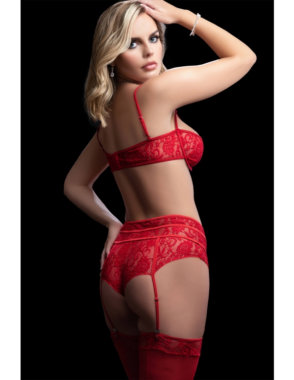 3Pc Red Bra And Stocking Set ALT3 view Color: RD