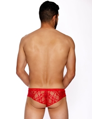 Alternate back view of RED LACE BRIEF