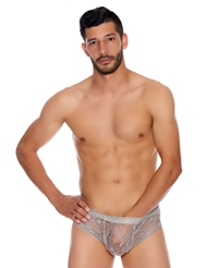 Alternate back view of GREY LACE BRIEF